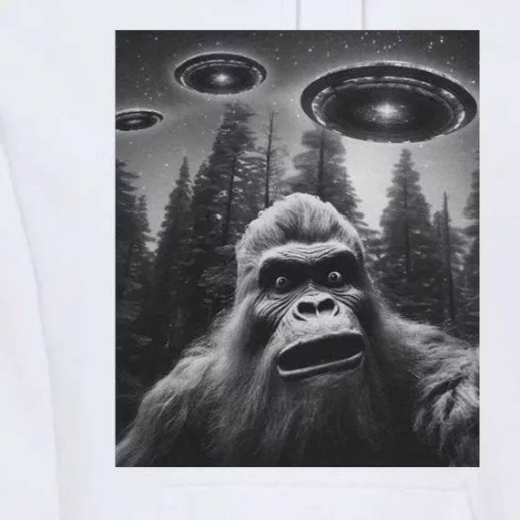 Funny Bigfoot Sasquatch Alien Ufo Premium Hoodie