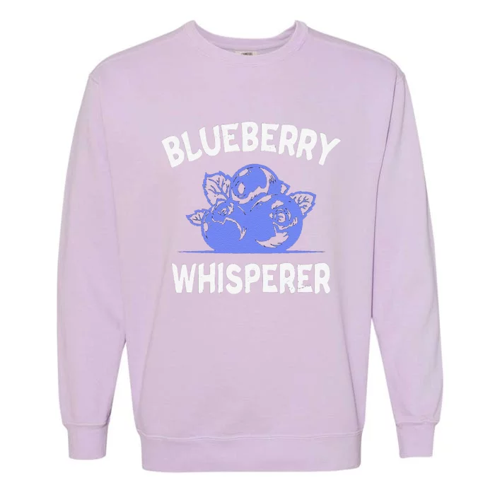 Funny Blueberry Whisperer Blueberry Fruit Funny Blueberry Lover Cute Gift Garment-Dyed Sweatshirt