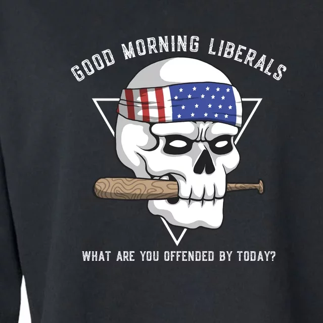 Funny Conservative Anti Liberal Anti Woke Cropped Pullover Crew