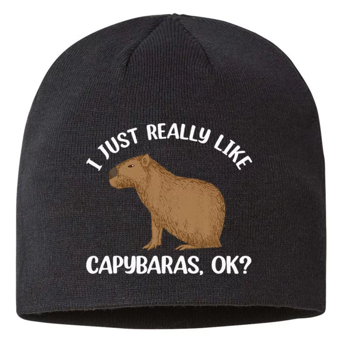 Funny Capybara Art For Men Women Kids Rodent Capybara Lover 8 1/2in Sustainable Knit Beanie