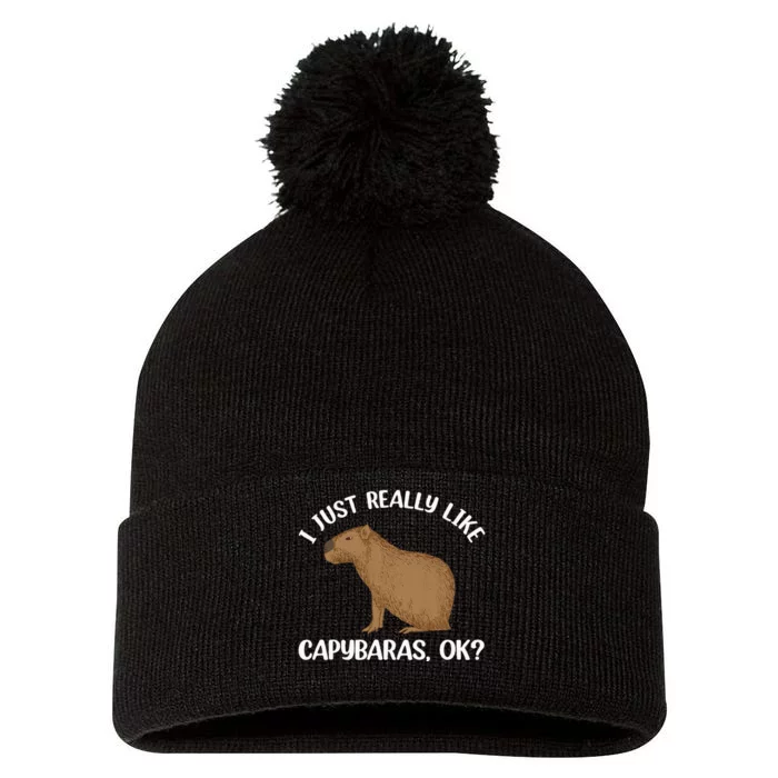 Funny Capybara Art For Men Women Kids Rodent Capybara Lover Pom Pom 12in Knit Beanie