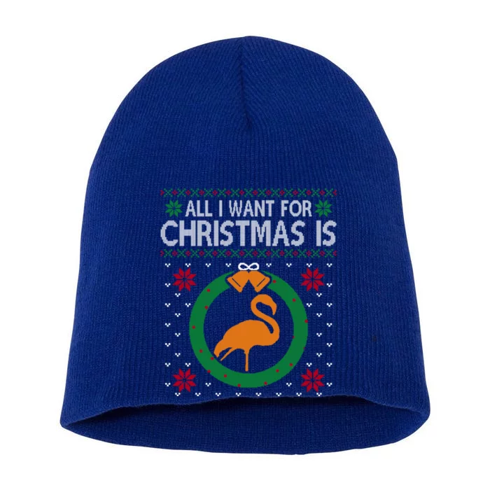 Flamingo Christmas All I Want For Christmas Is Flamingo Gift Short Acrylic Beanie