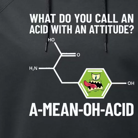 Funny Chemist Amino Acid Pun Ameanohacid Chemistry Performance Fleece Hoodie