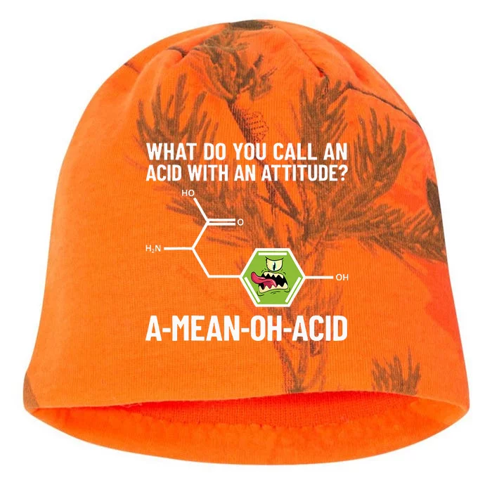 Funny Chemist Amino Acid Pun Ameanohacid Chemistry Kati - Camo Knit Beanie