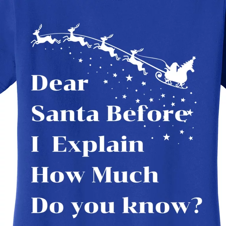 Funny Christmas Adults Dear Santa I Can Explain Meaningful Gift Women's T-Shirt