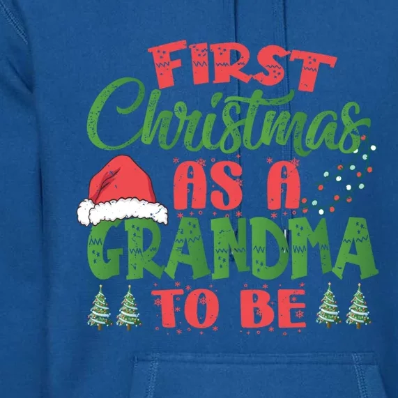 First Christmas As A Grandma To Be Gift Future Granny Xmas Gift Premium Hoodie