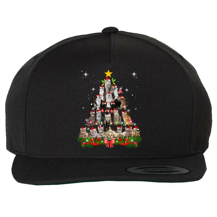 Funny Cat Christmas Ree Xmas Gifts Wool Snapback Cap