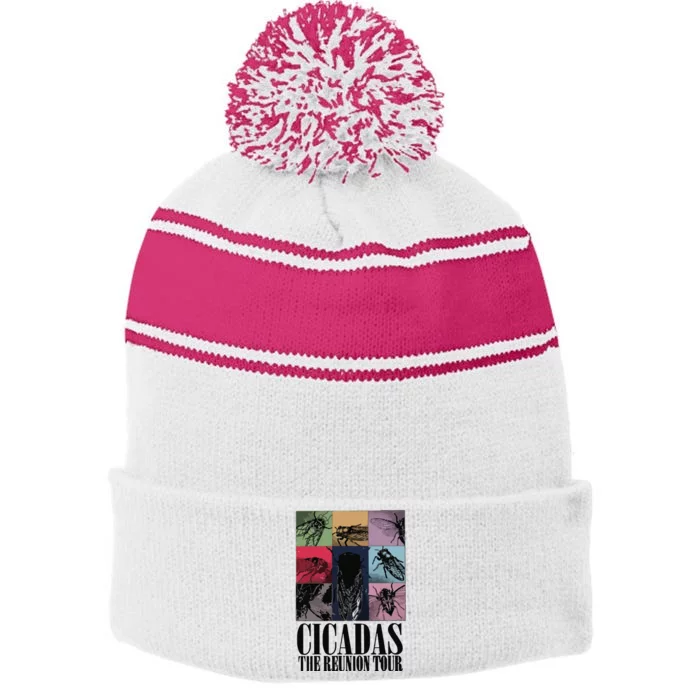 Funny Cicada Concert Eras Reunion 2024 Reunion Cicada Stripe Pom Pom Beanie