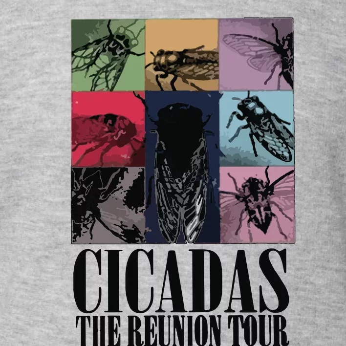 Funny Cicada Concert Eras Reunion 2024 Reunion Cicada Toddler Sweatshirt