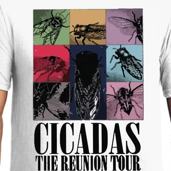 Funny Cicada Concert Eras Reunion 2024 Reunion Cicada Pajama Set