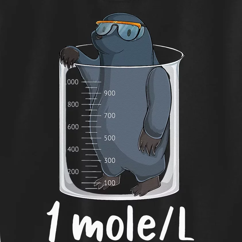 Funny Chemistry Chemist Student Science Teacher Moles Kids Sweatshirt