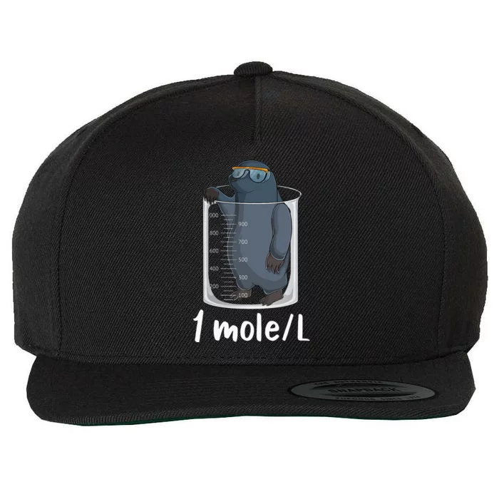 Funny Chemistry Chemist Student Science Teacher Moles Wool Snapback Cap