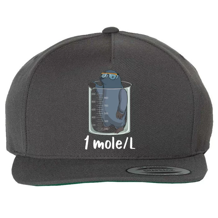 Funny Chemistry Chemist Student Science Teacher Moles Women Wool Snapback Cap