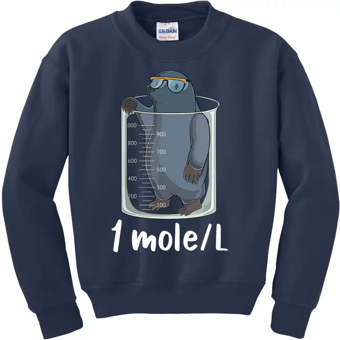 Funny Chemistry Chemist Student Science Teacher Moles Women Kids Sweatshirt