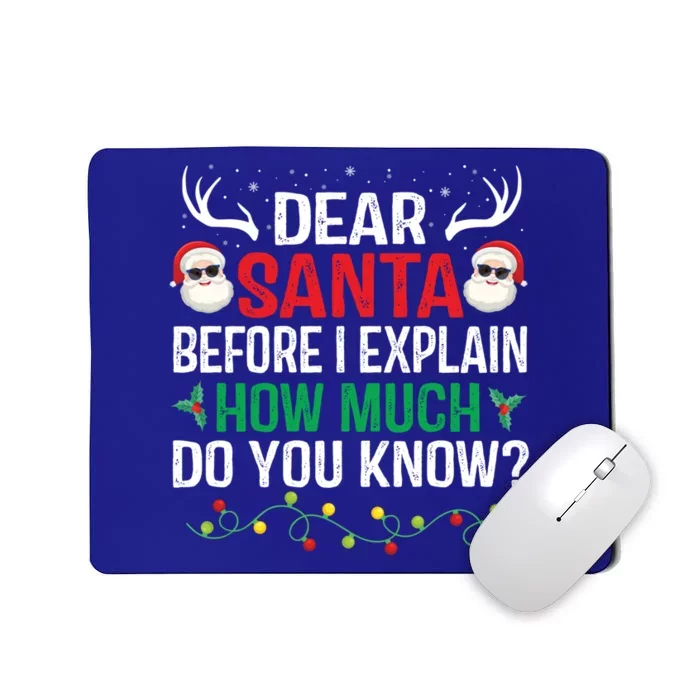 Funny Christmas Cool Gift Adults Dear Santa I Can Explain Cute Gift Mousepad