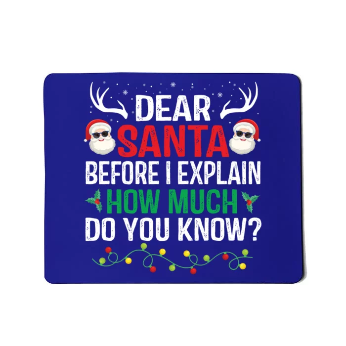 Funny Christmas Cool Gift Adults Dear Santa I Can Explain Cute Gift Mousepad