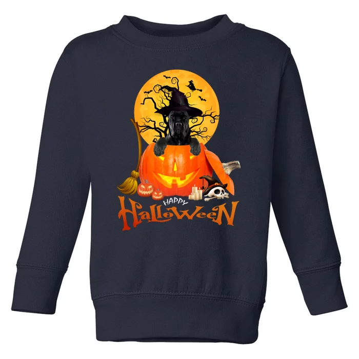 Funny Cane Corso Dog Spooky Halloween Toddler Sweatshirt