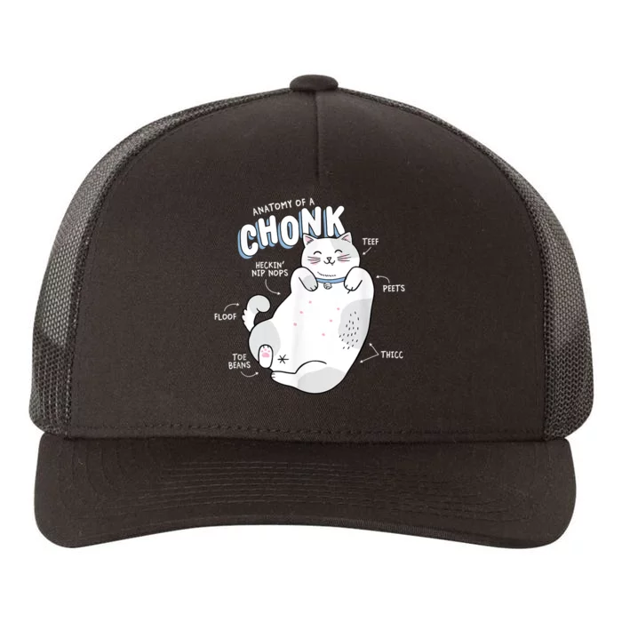 Funny Chonk Cat Meme Anatomy Of A Chonk Yupoong Adult 5-Panel Trucker Hat