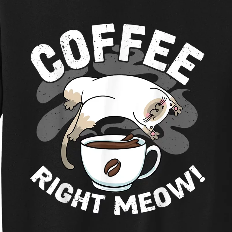 Funny Coffee , Coffee Lover , Cute Cat Sweatshirt