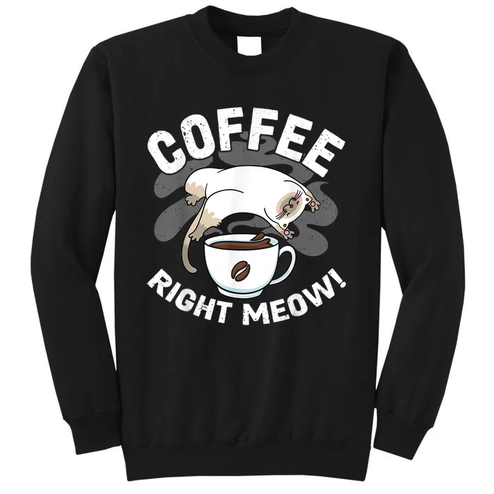 Funny Coffee , Coffee Lover , Cute Cat Sweatshirt