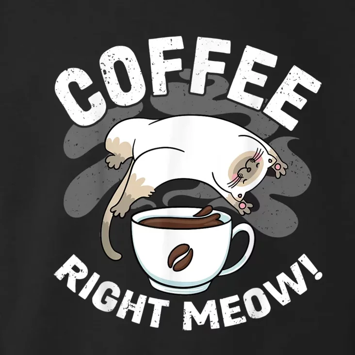 Funny Coffee , Coffee Lover , Cute Cat Toddler Hoodie