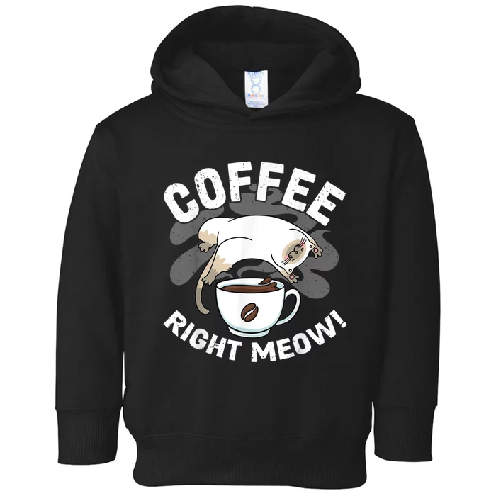 Funny Coffee , Coffee Lover , Cute Cat Toddler Hoodie