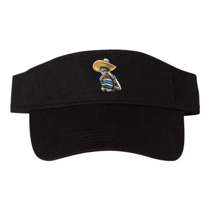 Funny Cinco De Mayo Cat Sombrero Poncho Party Gift Valucap Bio-Washed Visor