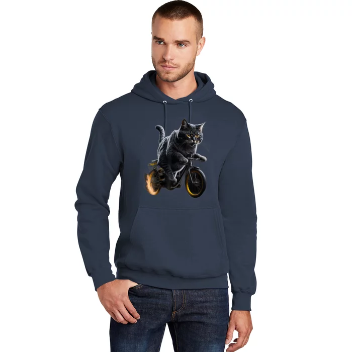 Funny Cat Drives Bicycle Cat Lover Graphic Cats Kitten Lover Hoodie