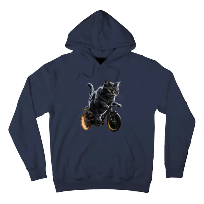 Funny Cat Drives Bicycle Cat Lover Graphic Cats Kitten Lover Hoodie