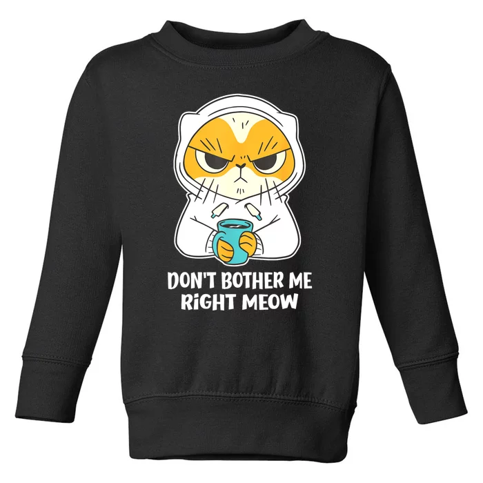 Funny Cat Dont Bother Me Right Meow Coffee Gits Toddler Sweatshirt