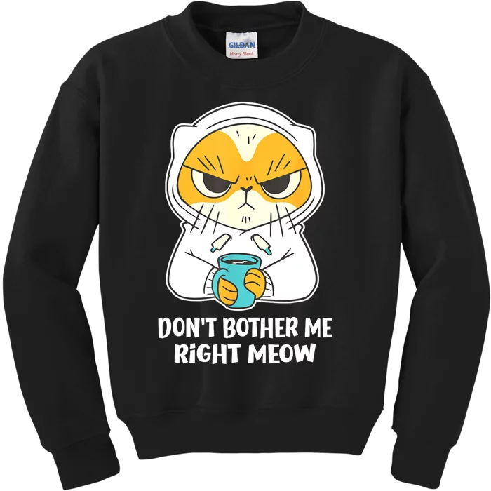 Funny Cat Dont Bother Me Right Meow Coffee Gits Kids Sweatshirt