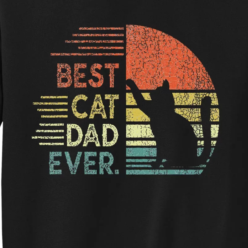 Funny Cat Daddy Fathers Day Cat Best Cat Dad Ever Sweatshirt