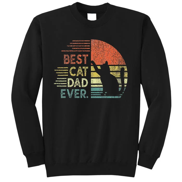 Funny Cat Daddy Fathers Day Cat Best Cat Dad Ever Sweatshirt