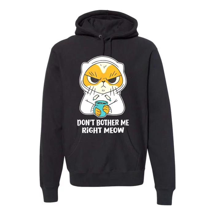 Funny Cat Dont Bother Me Right Meow Coffee Gits Men Women Premium Hoodie