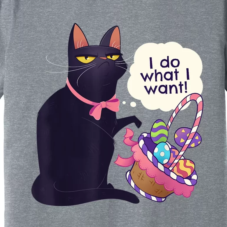 Funny Cat Easter What I Want Easter Basket Stuffers Premium T-Shirt