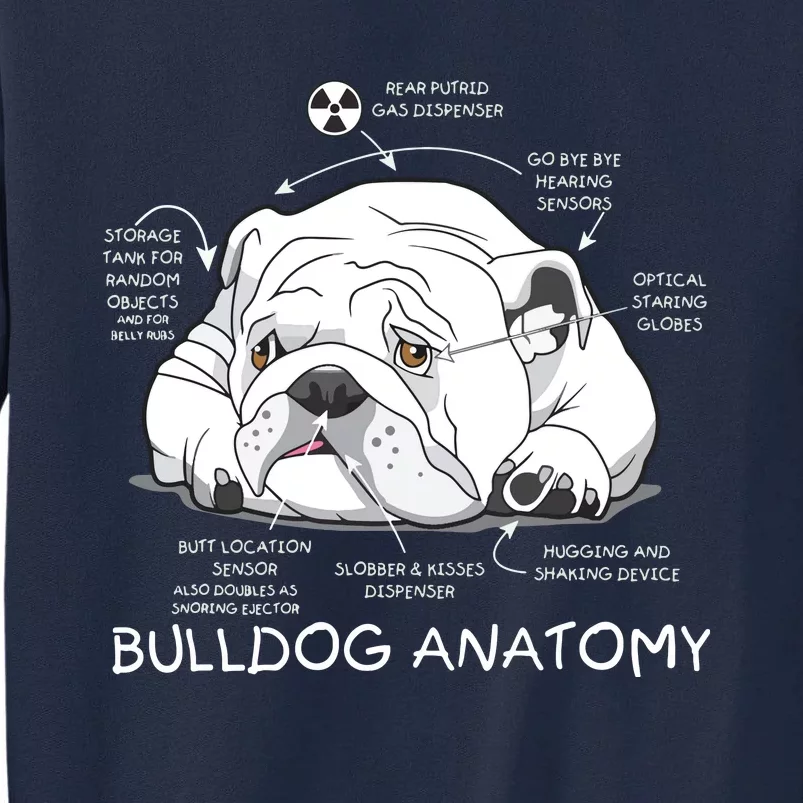 Funny Cute English Bulldog Anatomy Dog Biology Gift Tall Sweatshirt