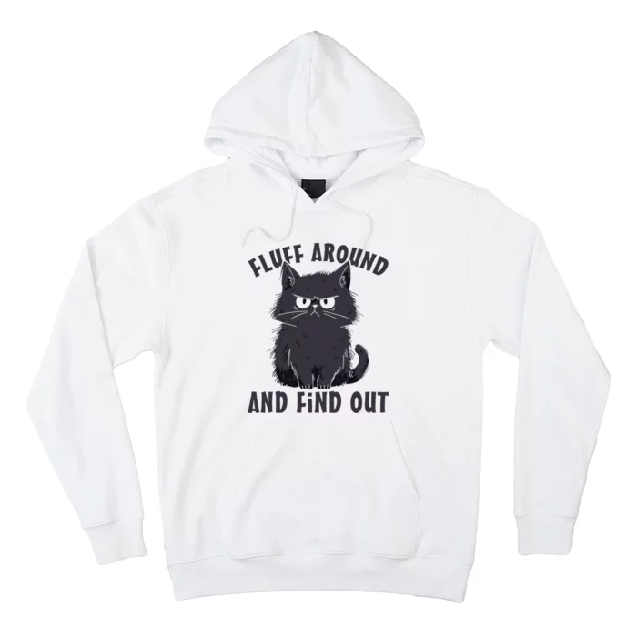 Funny Cat Fluff Around And Find Out Cat Lovers Hoodie