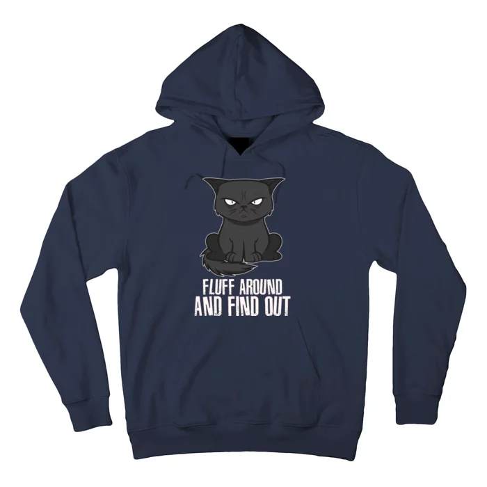 Funny Cat Fluff Around And Find Out Hoodie