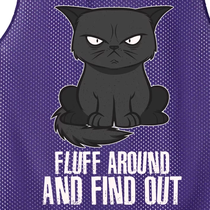 Funny Cat Fluff Around And Find Out Mesh Reversible Basketball Jersey Tank