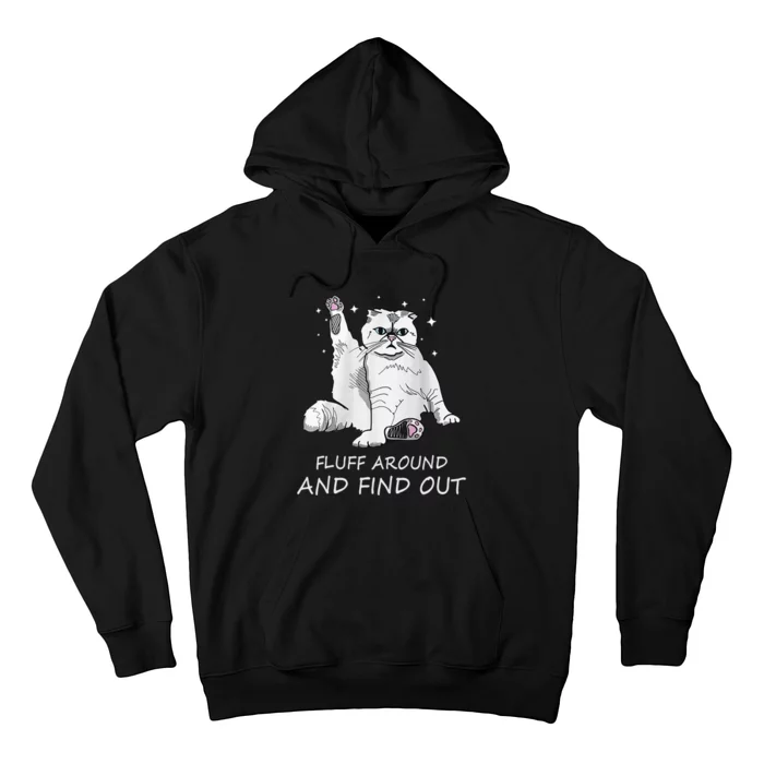 Funny Cat Fluff Around And Find Out Women Men Hoodie