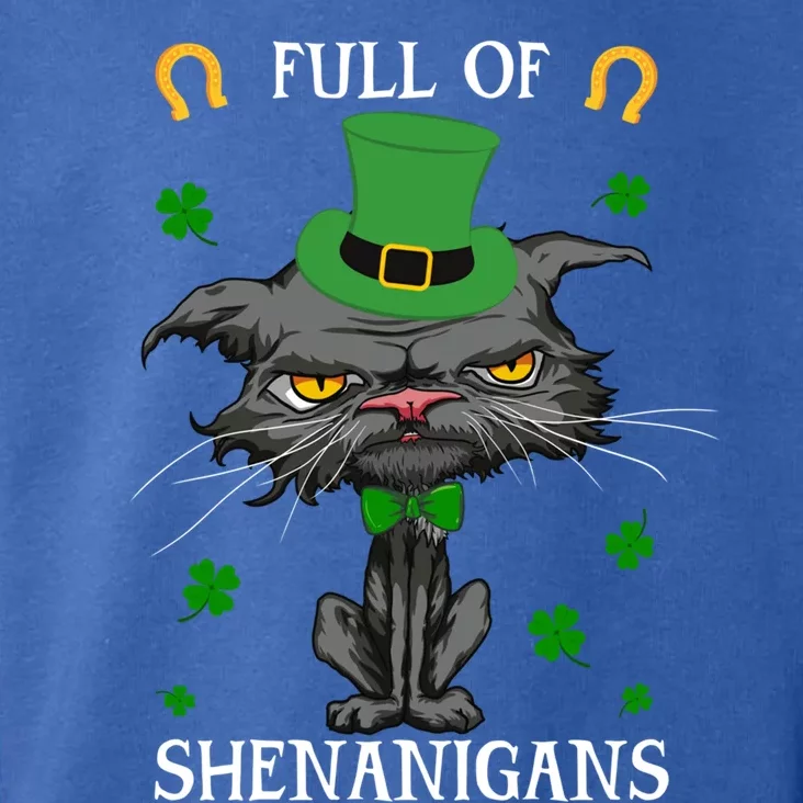 Funny Cat Full Of Shenanigans St Patrick's Day Cat Lovers Cool Gift Toddler Hoodie