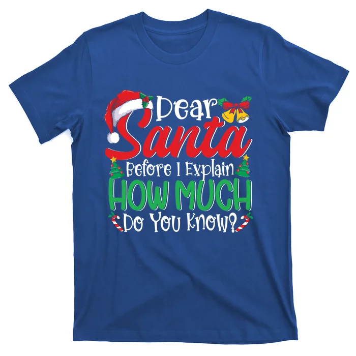 Funny Christmas Funny Gift Adults Dear Santa I Can Explain Funny Gift T-Shirt