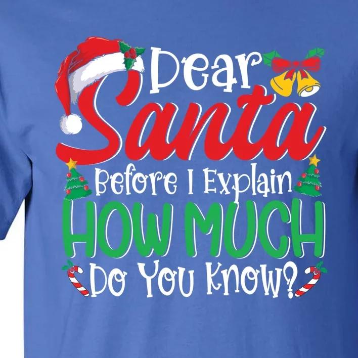 Funny Christmas Funny Gift Adults Dear Santa I Can Explain Funny Gift Tall T-Shirt