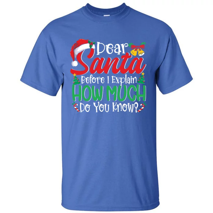 Funny Christmas Funny Gift Adults Dear Santa I Can Explain Funny Gift Tall T-Shirt