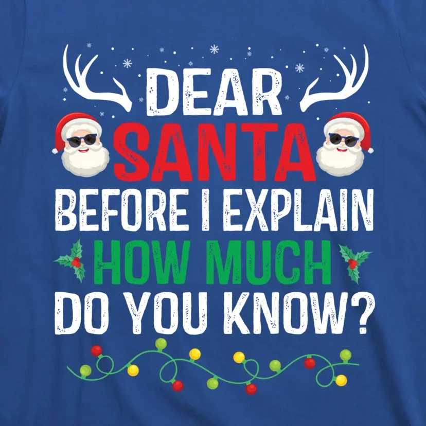 Funny Christmas Great Gift Adults Dear Santa I Can Explain Gift T-Shirt