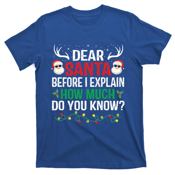 Funny Christmas Great Gift Adults Dear Santa I Can Explain Gift T-Shirt