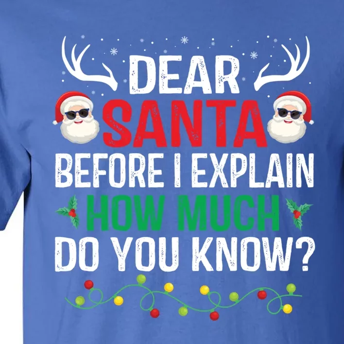 Funny Christmas Great Gift Adults Dear Santa I Can Explain Gift Tall T-Shirt