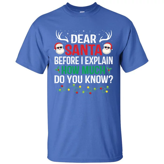 Funny Christmas Great Gift Adults Dear Santa I Can Explain Gift Tall T-Shirt