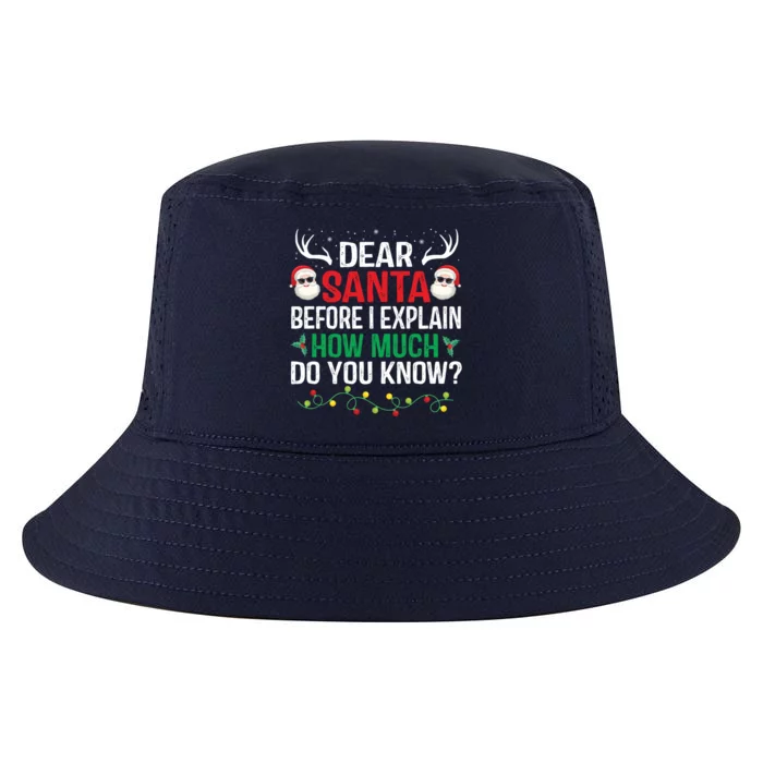 Funny Christmas Great Gift Adults Dear Santa I Can Explain Gift Cool Comfort Performance Bucket Hat