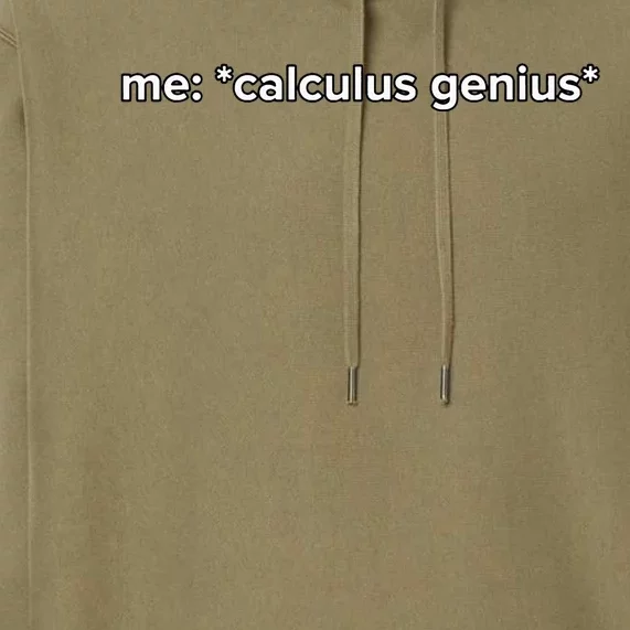 Funny Calculus Genius Meme Math Premium Hoodie